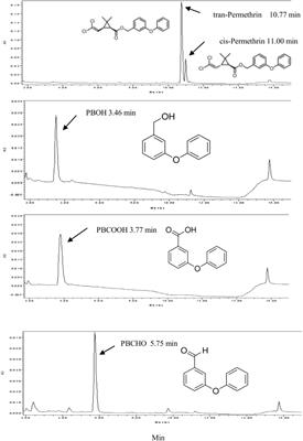 The Central Role of Multiple P450 Genes and Their Co-factor CPR in the Development of Permethrin Resistance in the Mosquito Culex quinquefasciatus